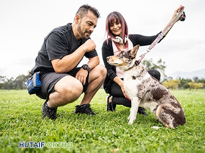 المشي مع الكلب والتهاب المفاصل: نصائح الأستاذ الدكتور محمد هطيف لتقليل الألم وزيادة المتعة