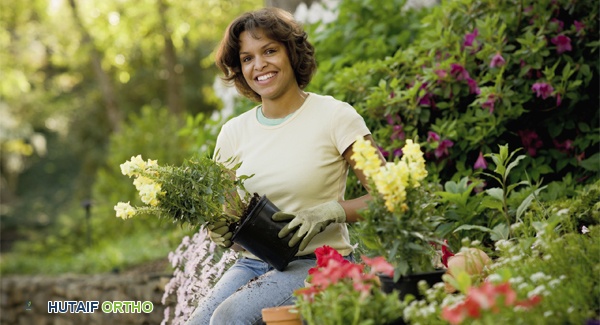 أدوات البستنة المبتكرة: دليلك الشامل لتسهيل الزراعة وتخفيف آلام التهاب المفاصل بإشراف الأستاذ الدكتور محمد هطيف