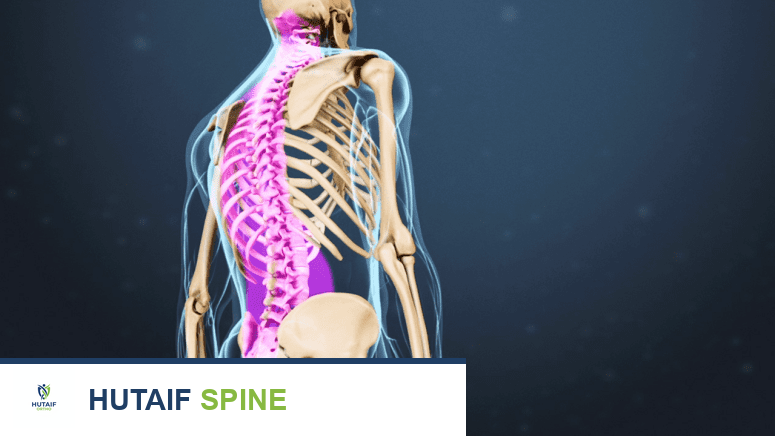 صورة توضيحية لـ تشريح العمود الفقري: دليلك الشامل لفهم آلام الظهر والرقبة مع الأستاذ الدكتور محمد هطيف