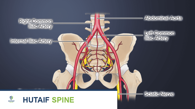 متى يكون ألم الظهر حالة طارئة تستدعي التدخل الفوري