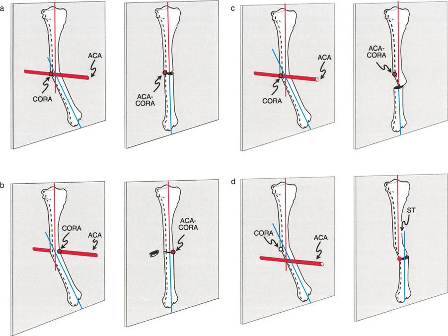 وصف طبي دقيق للمريض