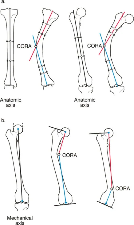 وصف طبي دقيق للمريض