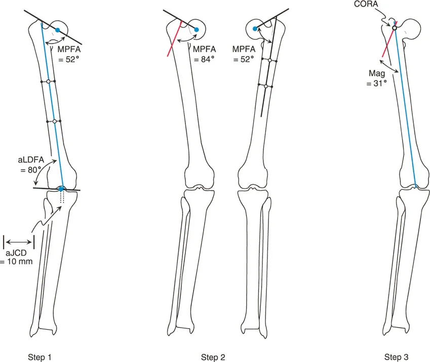 وصف طبي دقيق للمريض