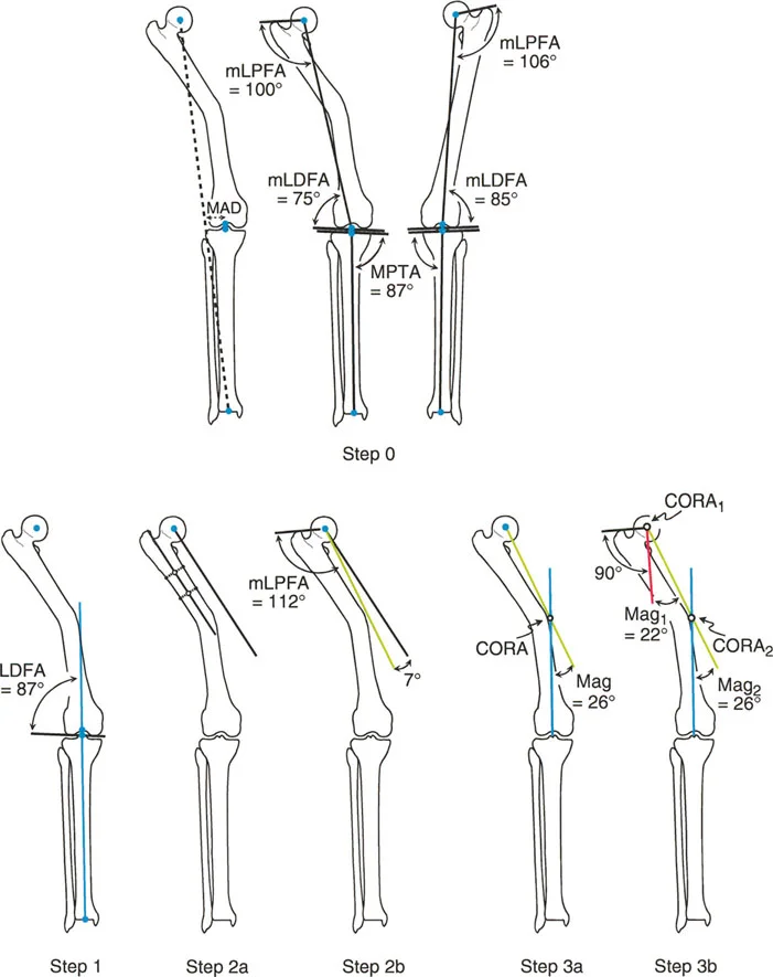 وصف طبي دقيق للمريض