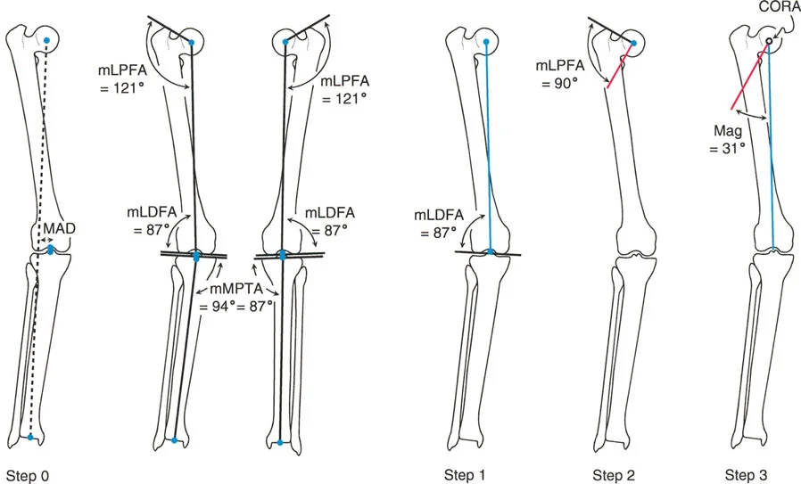 وصف طبي دقيق للمريض