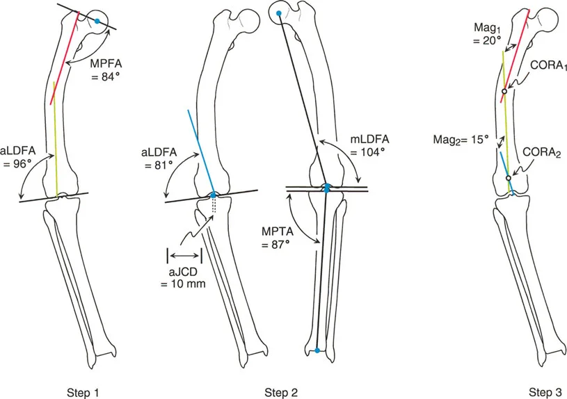 وصف طبي دقيق للمريض