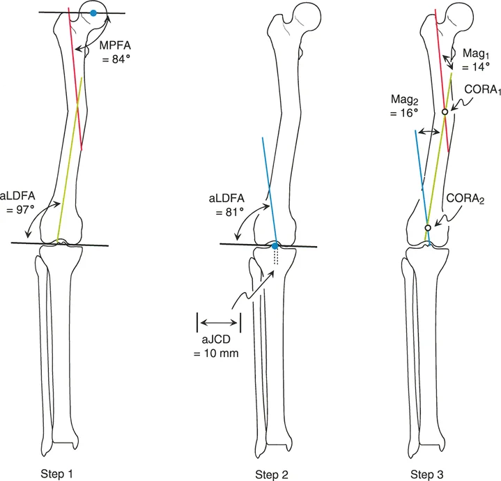 وصف طبي دقيق للمريض