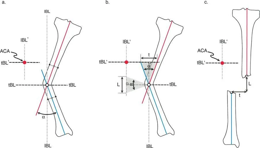 وصف طبي دقيق للمريض