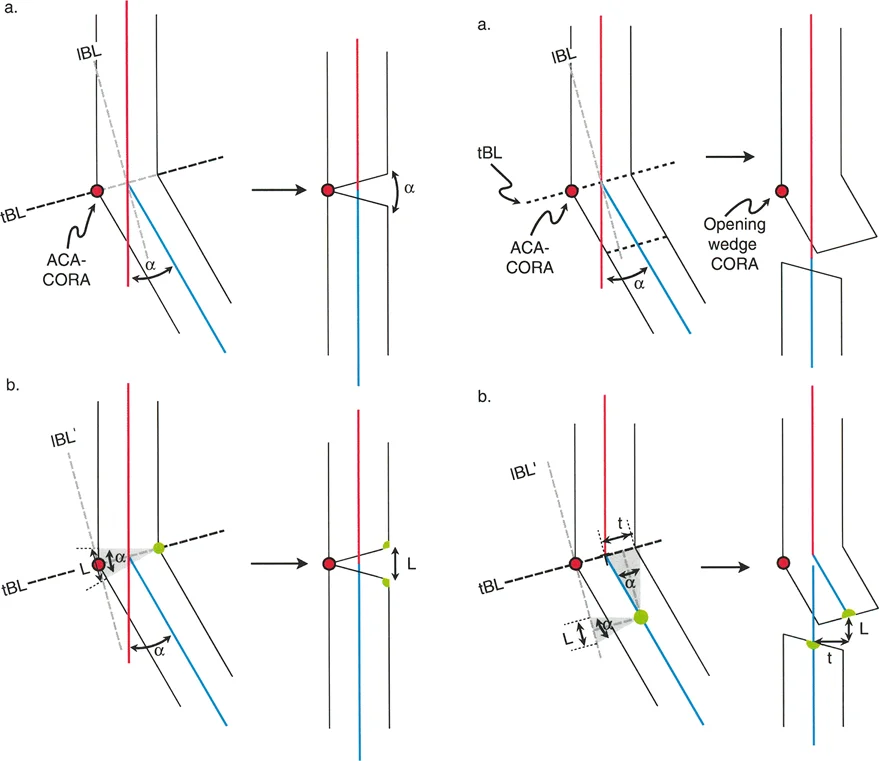 وصف طبي دقيق للمريض