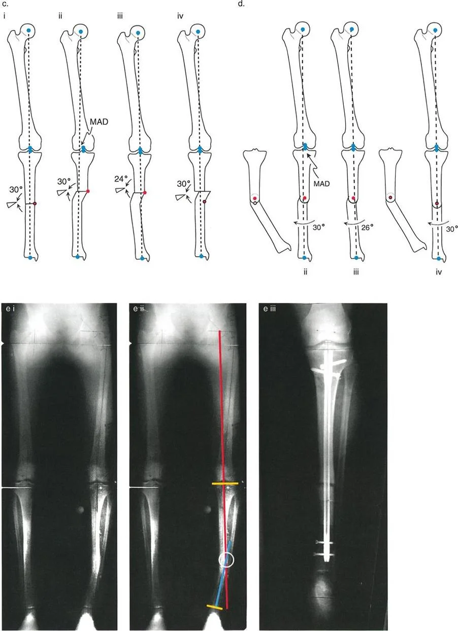وصف طبي دقيق للمريض
