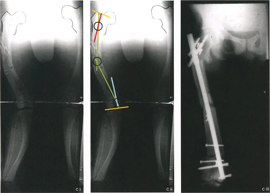 وصف طبي دقيق للمريض