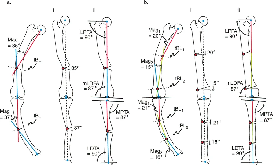 وصف طبي دقيق للمريض
