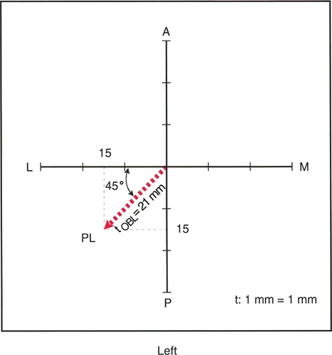 وصف طبي دقيق للمريض