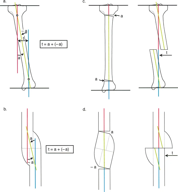 وصف طبي دقيق للمريض