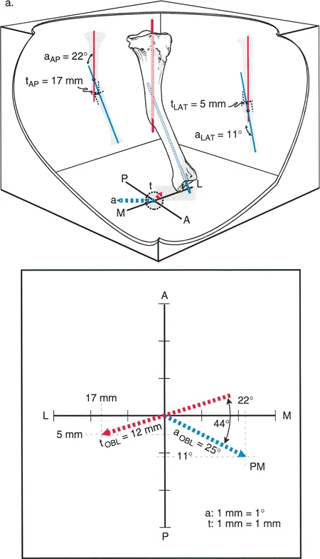 وصف طبي دقيق للمريض