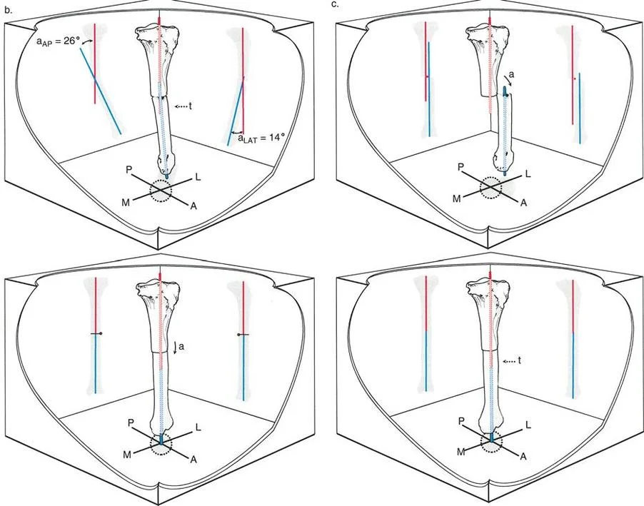 رسوم بيانية ثلاثية الأبعاد توضح ديناميكيات تصحيح تشوه المستوى المائل خطوة بخطوة من خلال موقع الكسر الأصلي.