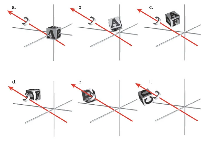 صورة طبية: تصحيح تشوهات العظام بتقنيات بالي المتقدمة الدليل الشامل للمرضى مع الأستاذ الدكتور محمد هطيف