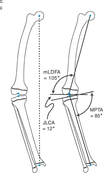 The Ultimate Masterclass on Lower Extremity Malalignment & Deformity Correction: Paley's Principles