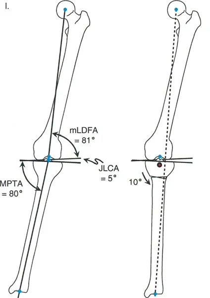 وصف طبي دقيق للمريض