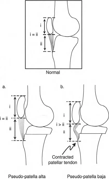 وصف طبي دقيق للمريض