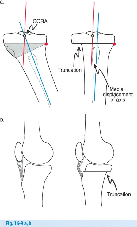 وصف طبي دقيق للمريض