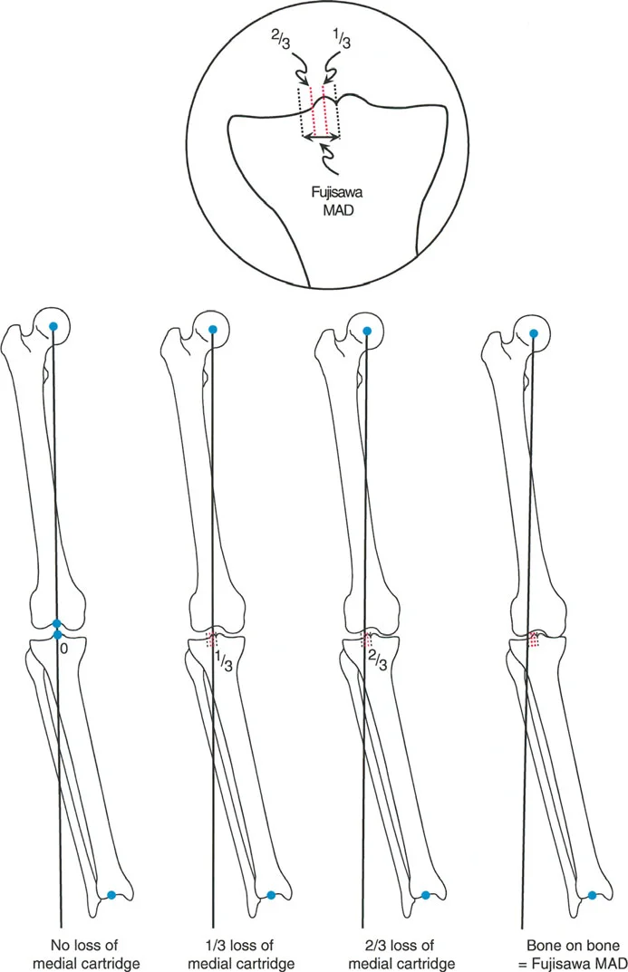 وصف طبي دقيق للمريض