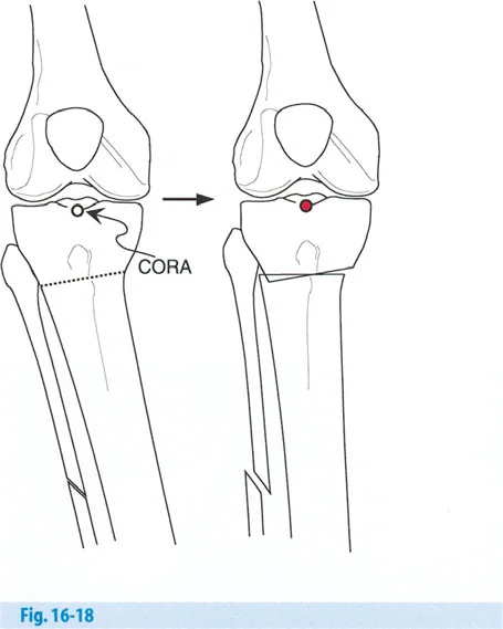 وصف طبي دقيق للمريض