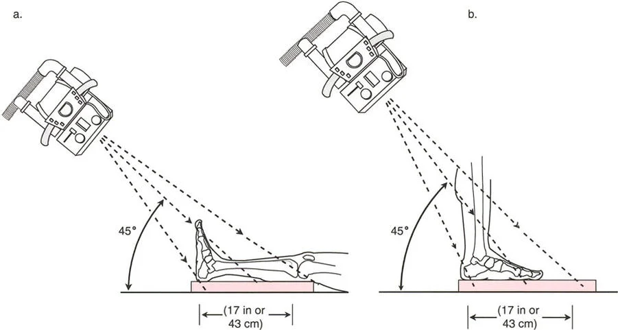 تقنية توجيه النمو باستخدام شرائح 8-Plate