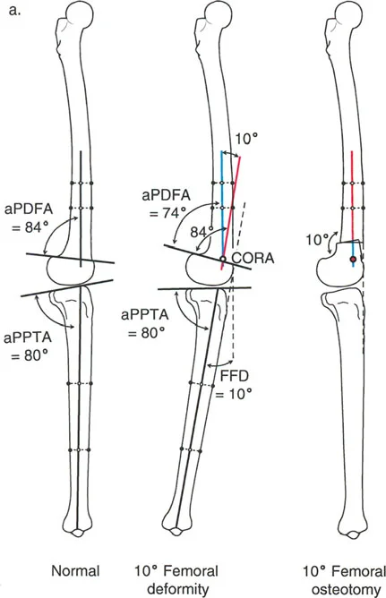 وصف طبي دقيق للمريض