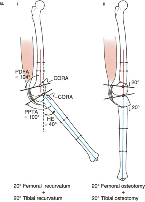 وصف طبي دقيق للمريض