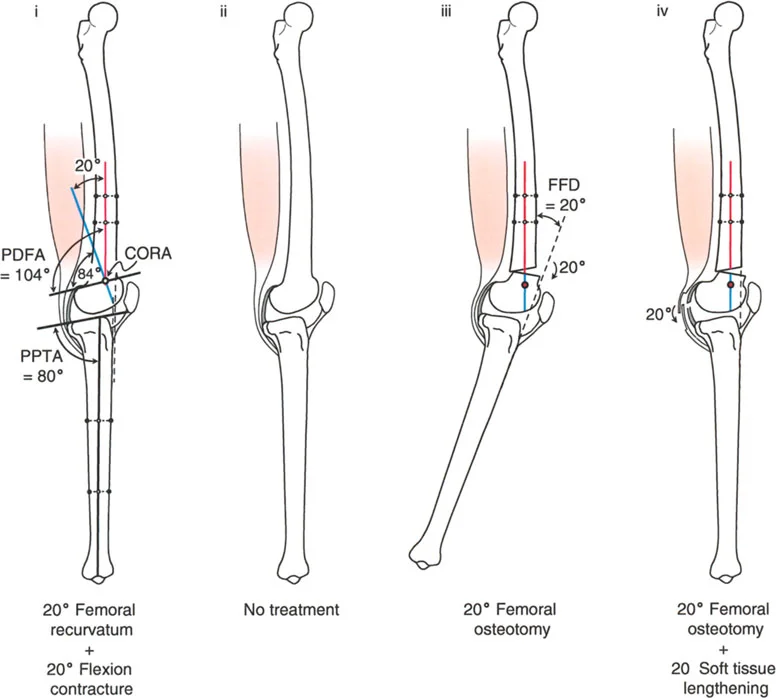وصف طبي دقيق للمريض