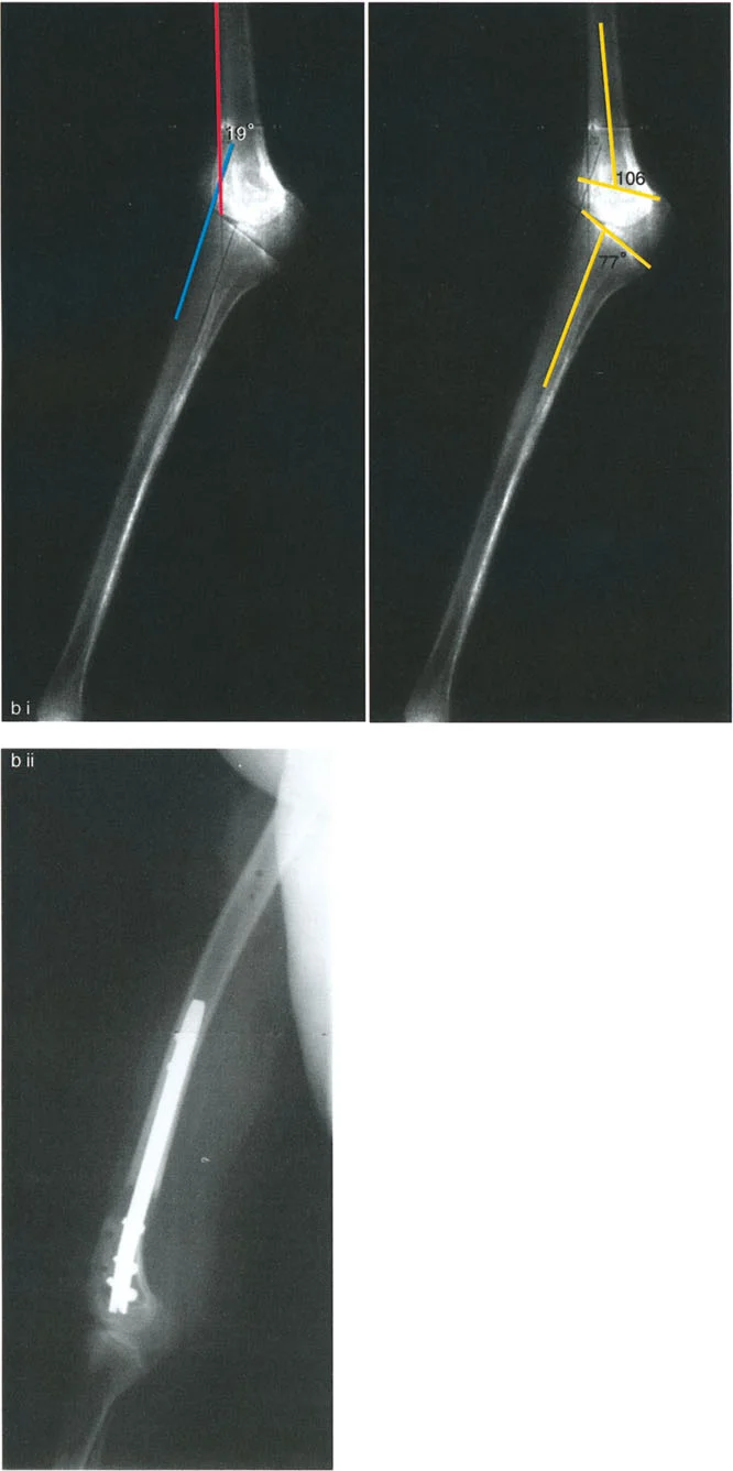 وصف طبي دقيق للمريض