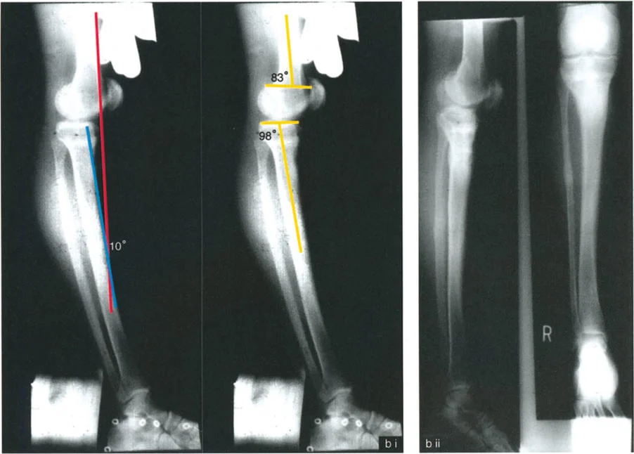 وصف طبي دقيق للمريض