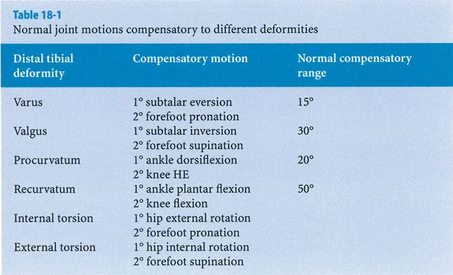 صورة طبية: الاستاذ الدكتور محمد هطيف: دليل شامل لتشوهات قصبة الساق البعيدة والكاحل في صنعاء