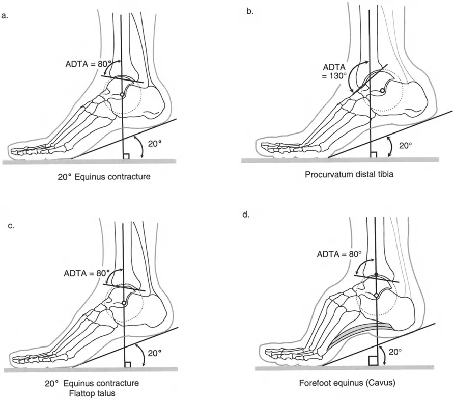 وصف طبي دقيق للمريض