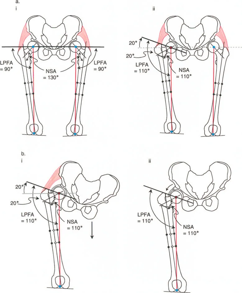 وصف طبي دقيق للمريض