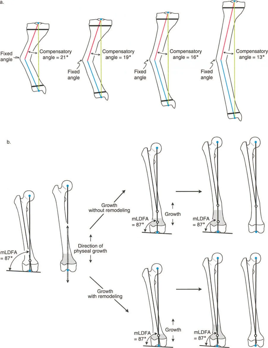 وصف طبي دقيق للمريض