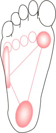 صورة توضيحية لـ إتقان ميكانيكا المشي الحيوية وتصحيح تشوهات الأطراف السفلية: نهج الأستاذ الدكتور محمد هطيف في صنعاء