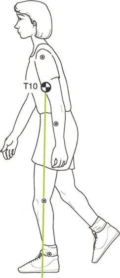 صورة توضيحية لـ إتقان ميكانيكا المشي العظمية: دليل شامل لتصحيح التشوهات الديناميكية مع الأستاذ الدكتور محمد هطيف