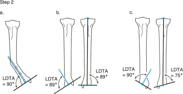 وصف طبي دقيق للمريض