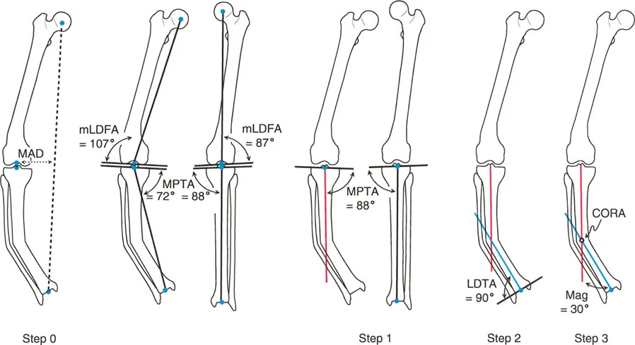 وصف طبي دقيق للمريض