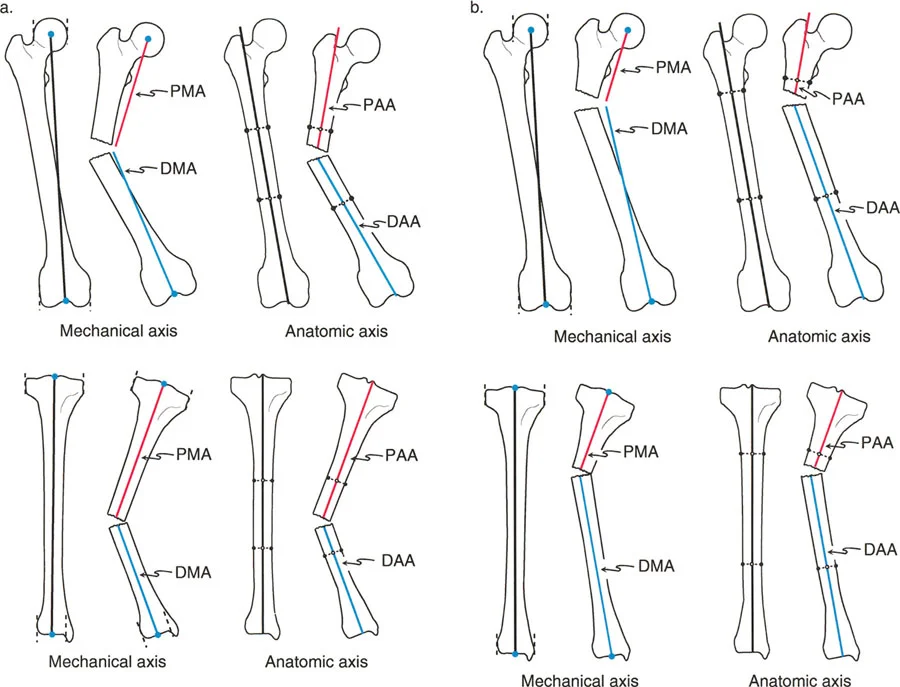 وصف طبي دقيق للمريض