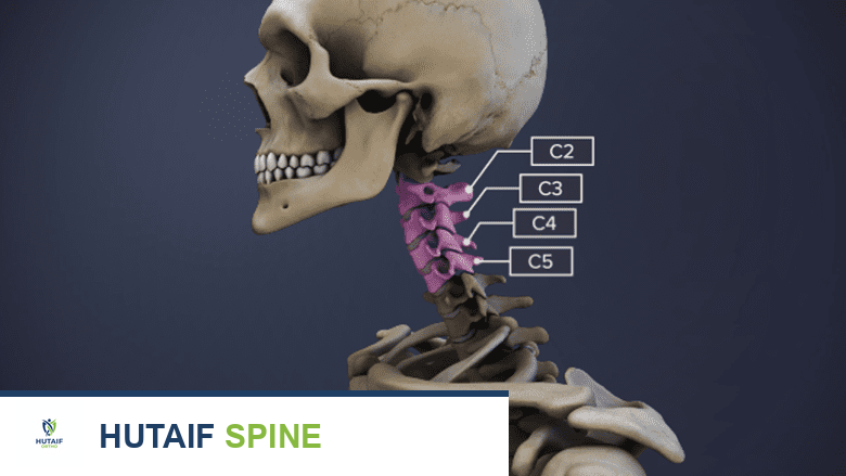كل ما تحتاج معرفته عن القطاعات الحركية للعمود الفقري C2-C5: دليلك الشامل مع الأستاذ الدكتور محمد هطيف