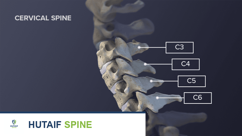 الفقرات العنقية كل ما تحتاج معرفته عن العمود الفقري العنقي