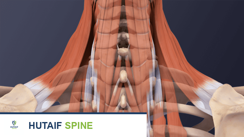 الصداع العنقي: دليل شامل للتشخيص والعلاج مع الأستاذ الدكتور محمد هطيف في صنعاء