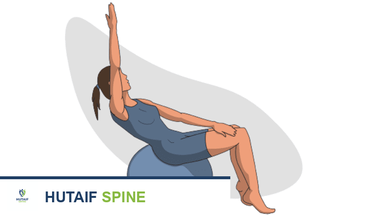 تمارين كرة التمرين لتقوية عضلات الجذع ودعم العمود الفقري: دليل شامل من الأستاذ الدكتور محمد هطيف