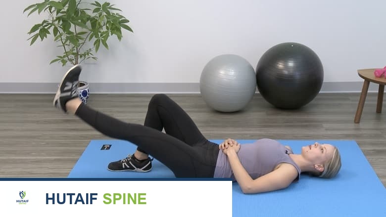 تمرين الطائر الكلب