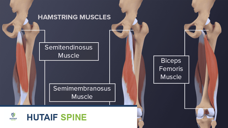 وصف طبي دقيق للمريض