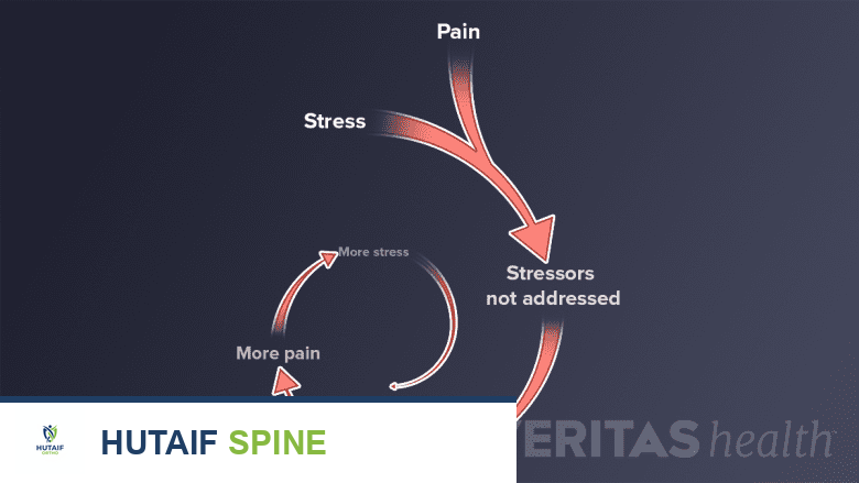 آلام الظهر والتوتر العلاقة الخفية والعلاج الفعال مع الأستاذ الدكتور محمد هطيف