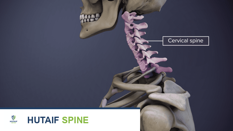 تغيرات العمود الفقري العنقي مع التقدم في العمر: دليل شامل من الأستاذ الدكتور محمد هطيف